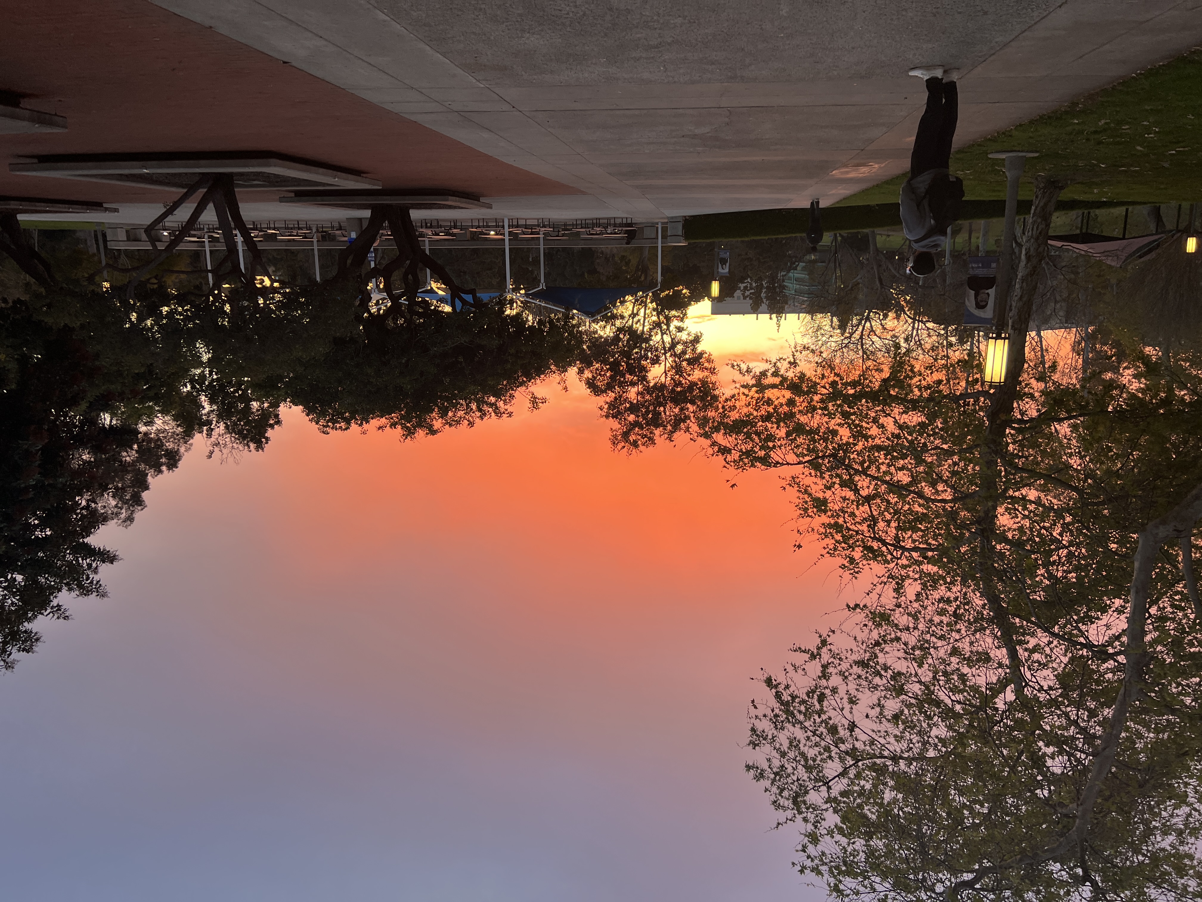 Sunset on campus